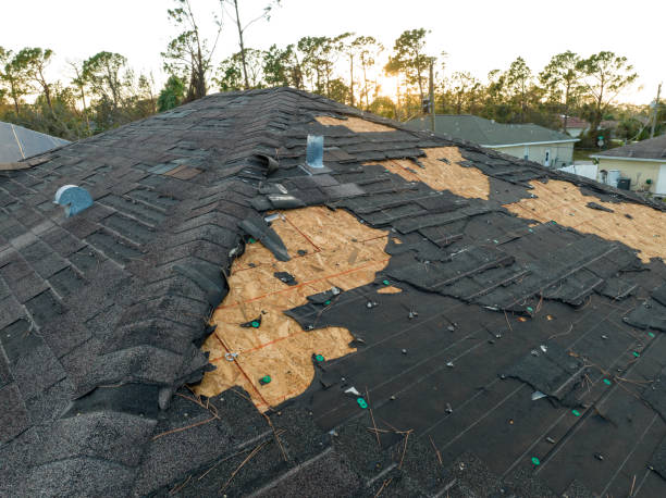 Best Emergency Roof Repair Services  in North Les, AK